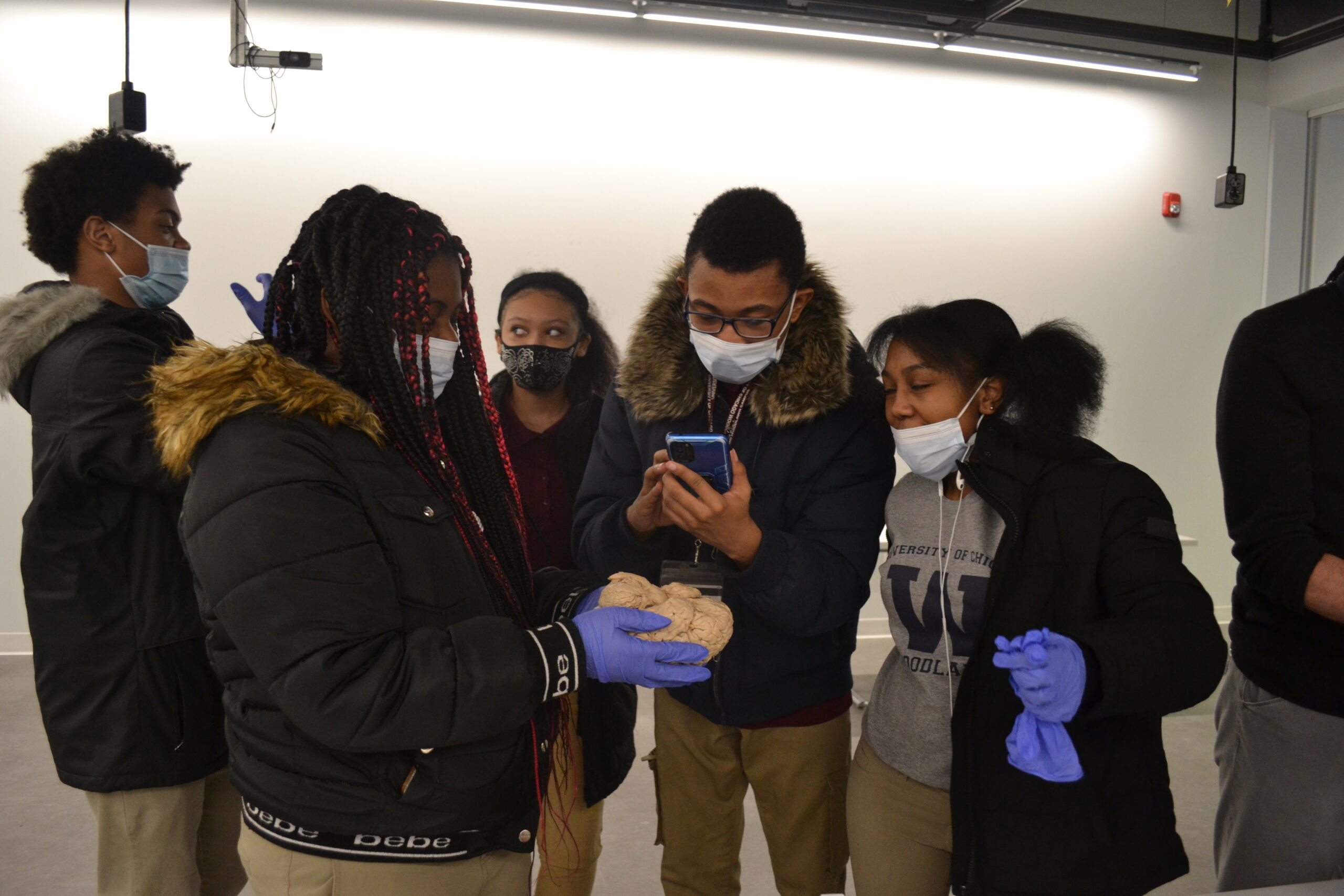 Students examine a real human brain.